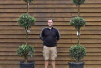 Pruning Perfection: The Art Of Topiary Trees