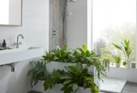 Green Your Bathroom With These Plant Ideas