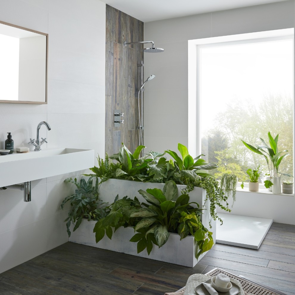 image.title VADO Top  Bathroom Plant Ideas image